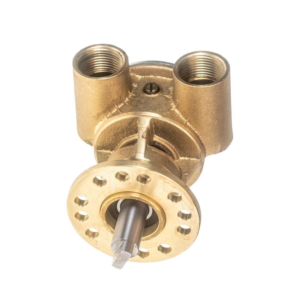 Johnson Pump Qualifies for Free Shipping Johnson Pump F5B-9 Impeller Pump OEM #10-24334-11