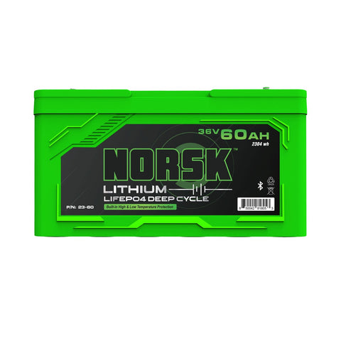 Norsk Not Qualified for Free Shipping Norsk LIFEPO4 Battery Guardian 36v 60Ah #23-360