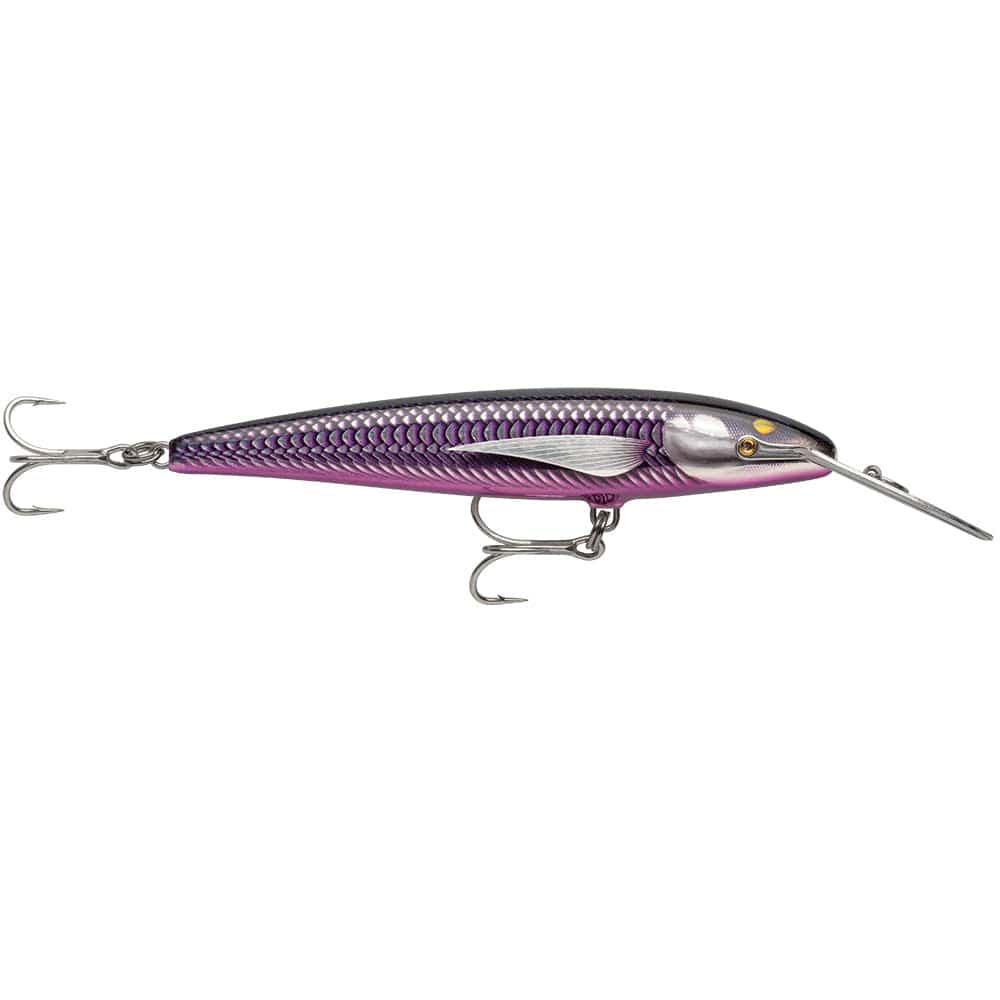 Rapala Qualifies for Free Shipping Rapala Countdown Magnum Elite 185 Armored Purple Mackerel #CDMAGE185AMPM