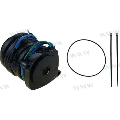 Recmar Qualifies for Free Shipping Recmar Trim Motor #REC6AW-43880-22