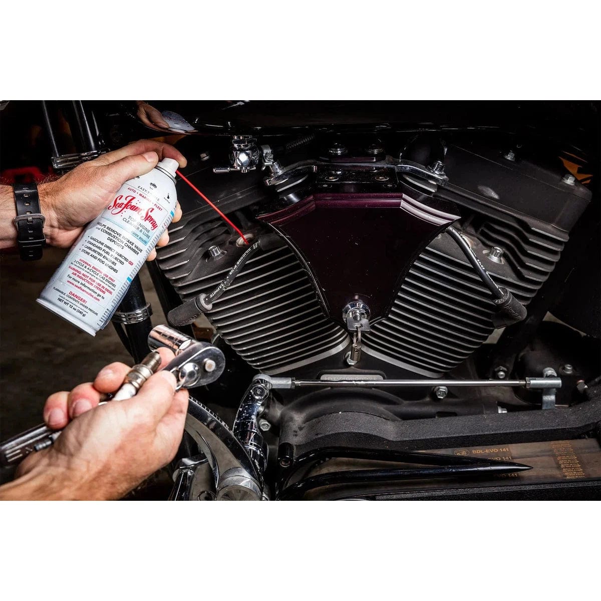 Sea Foam Qualifies for Free Shipping Sea Foam Cleaner Spray Lube 12 oz Aero #SS14