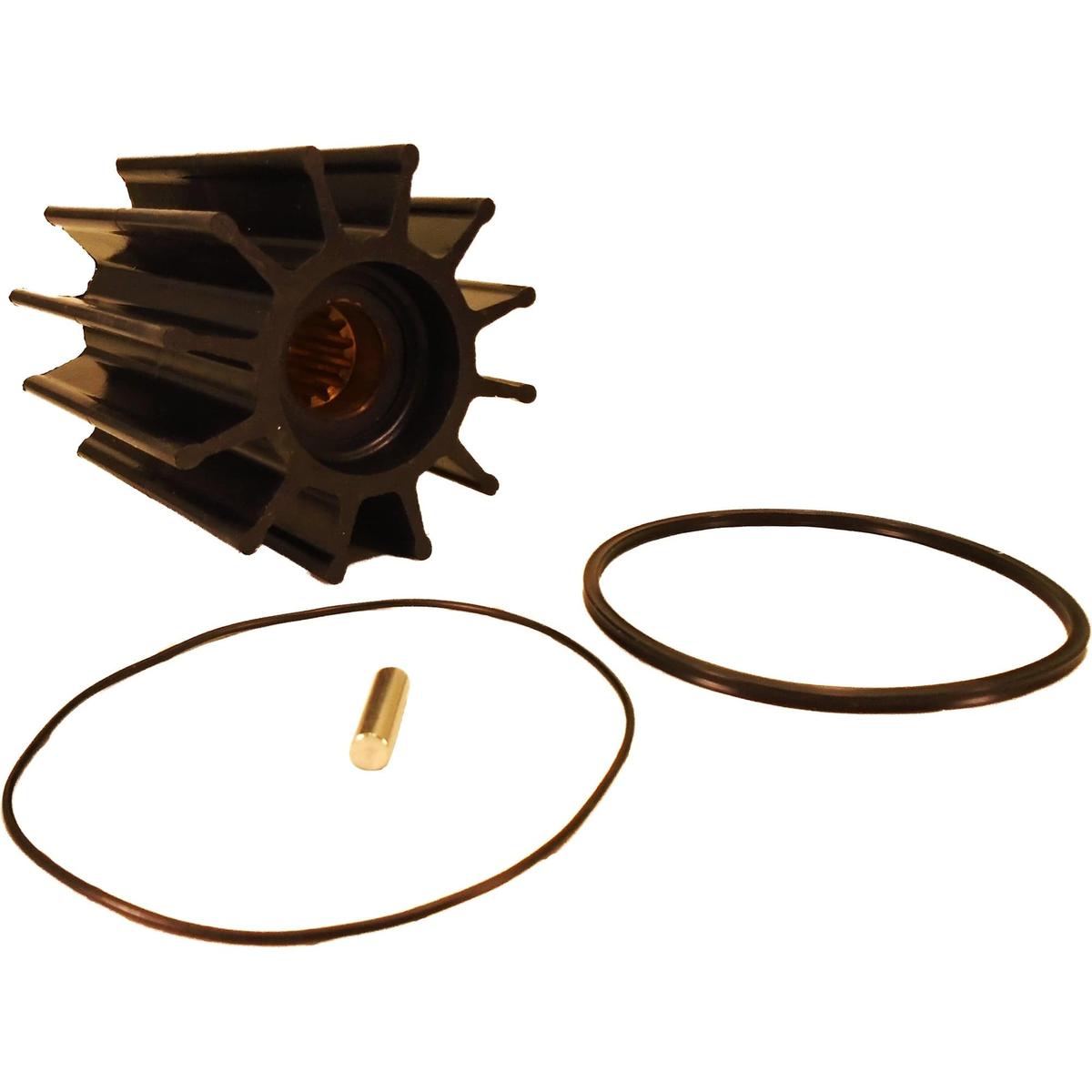 Sherwood Qualifies for Free Shipping Sherwood Pump Impeller Kit with Gasket #18000K