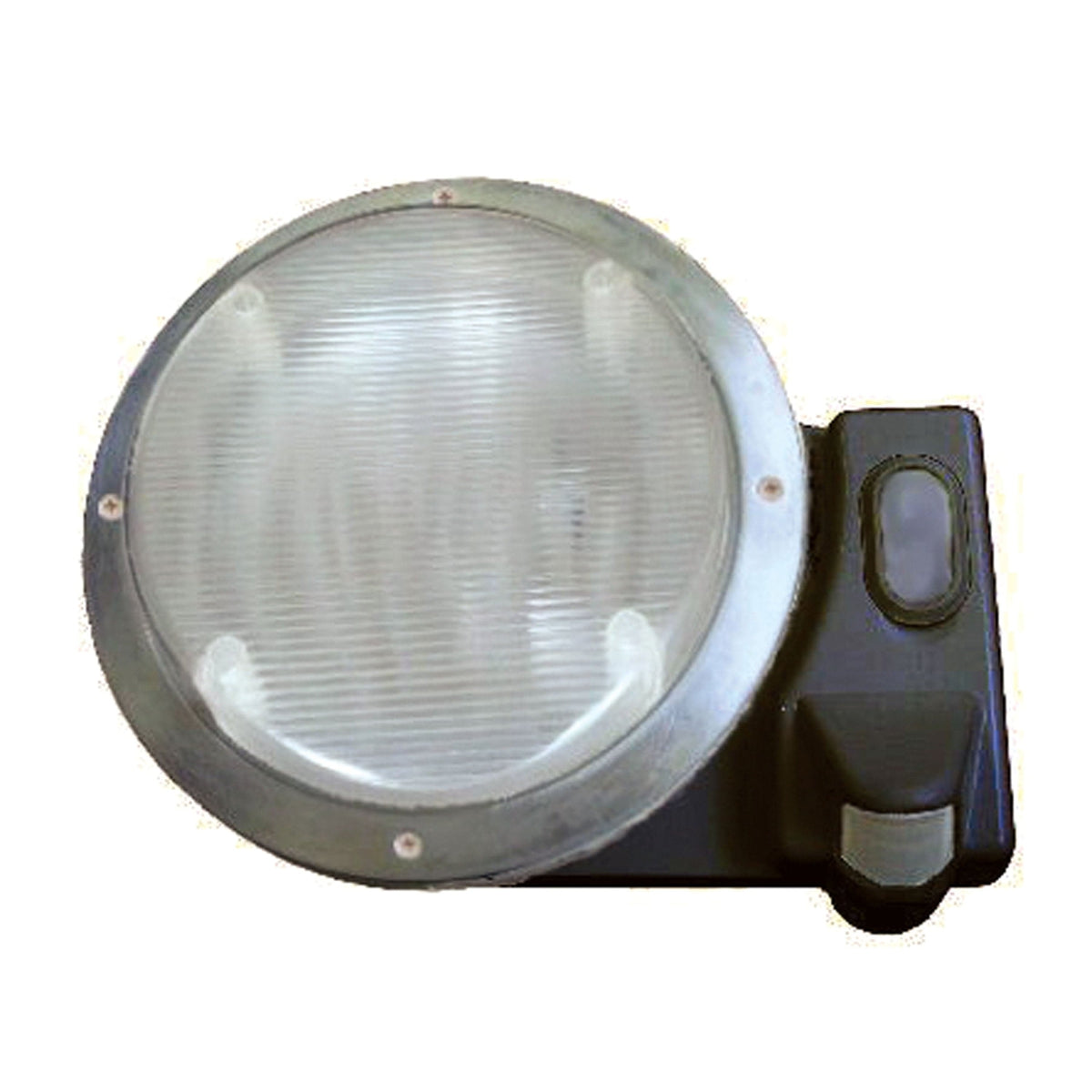 AP Products Qualifies for Free Shipping AP Products Star Lights Motion Activated Lighting Fixture Black #016-SL2000B