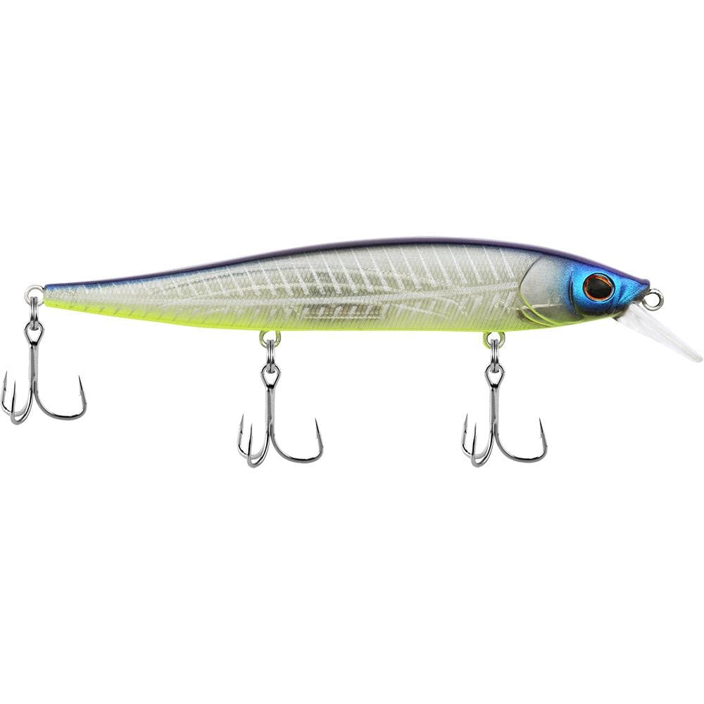 Berkley Qualifies for Free Shipping Berkley Stunna Shad Fillet 112+1 1/2 oz Jerk Bait #1553550