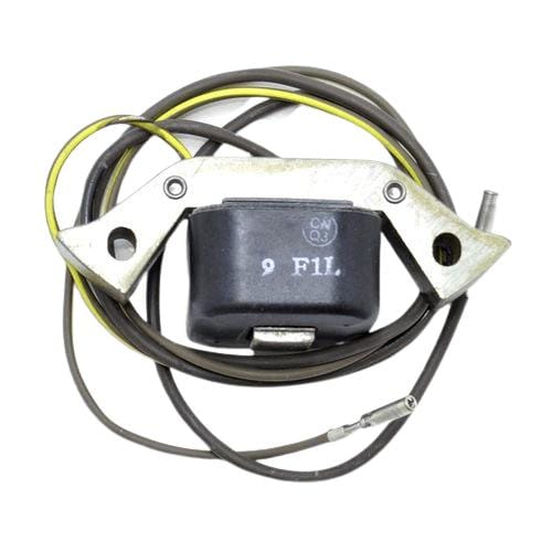 BRP Qualifies for Free Shipping BRP Charge Coil #581670