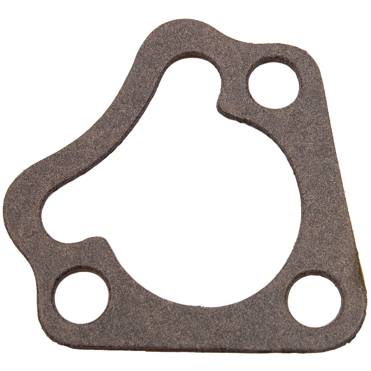 BRP Qualifies for Free Shipping BRP Gasket #329076