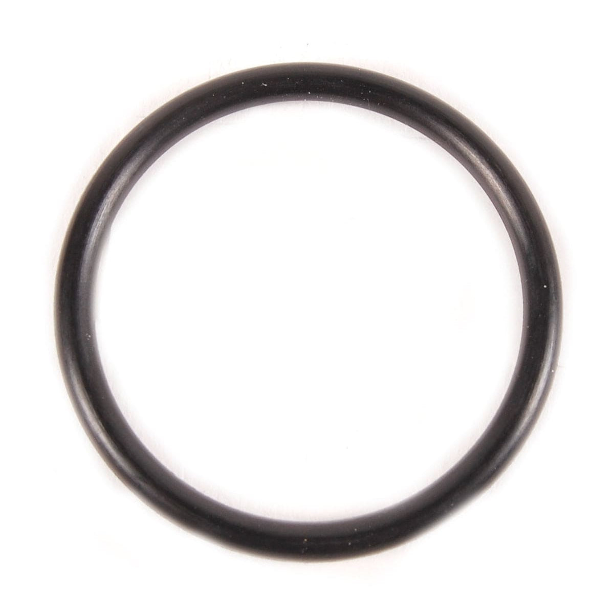 BRP Qualifies for Free Shipping BRP O-Ring #301917