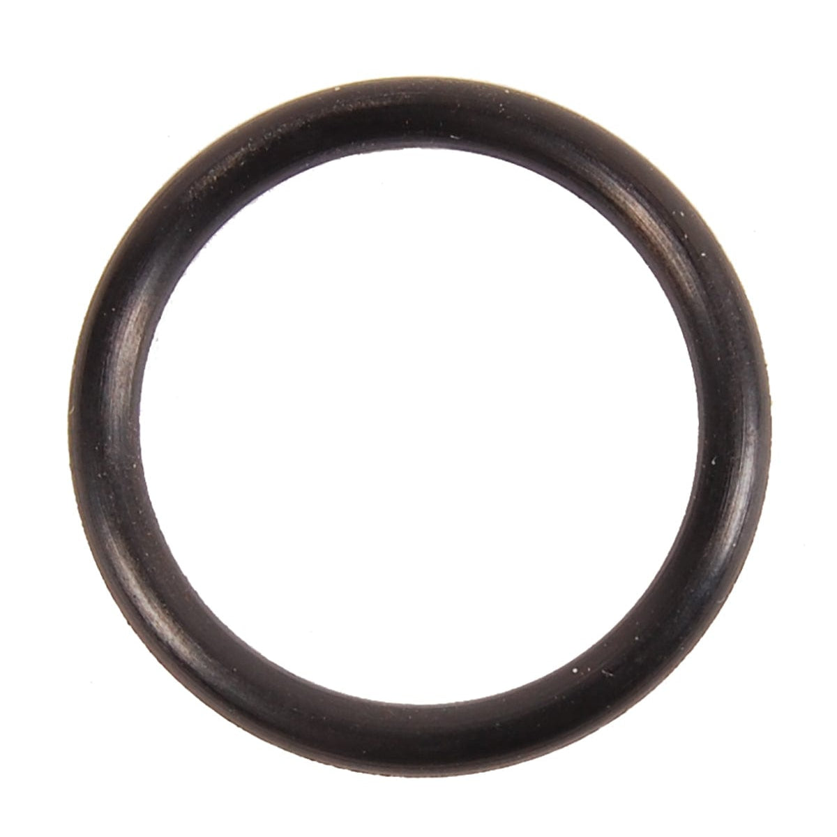 BRP Qualifies for Free Shipping BRP O-Ring #301967