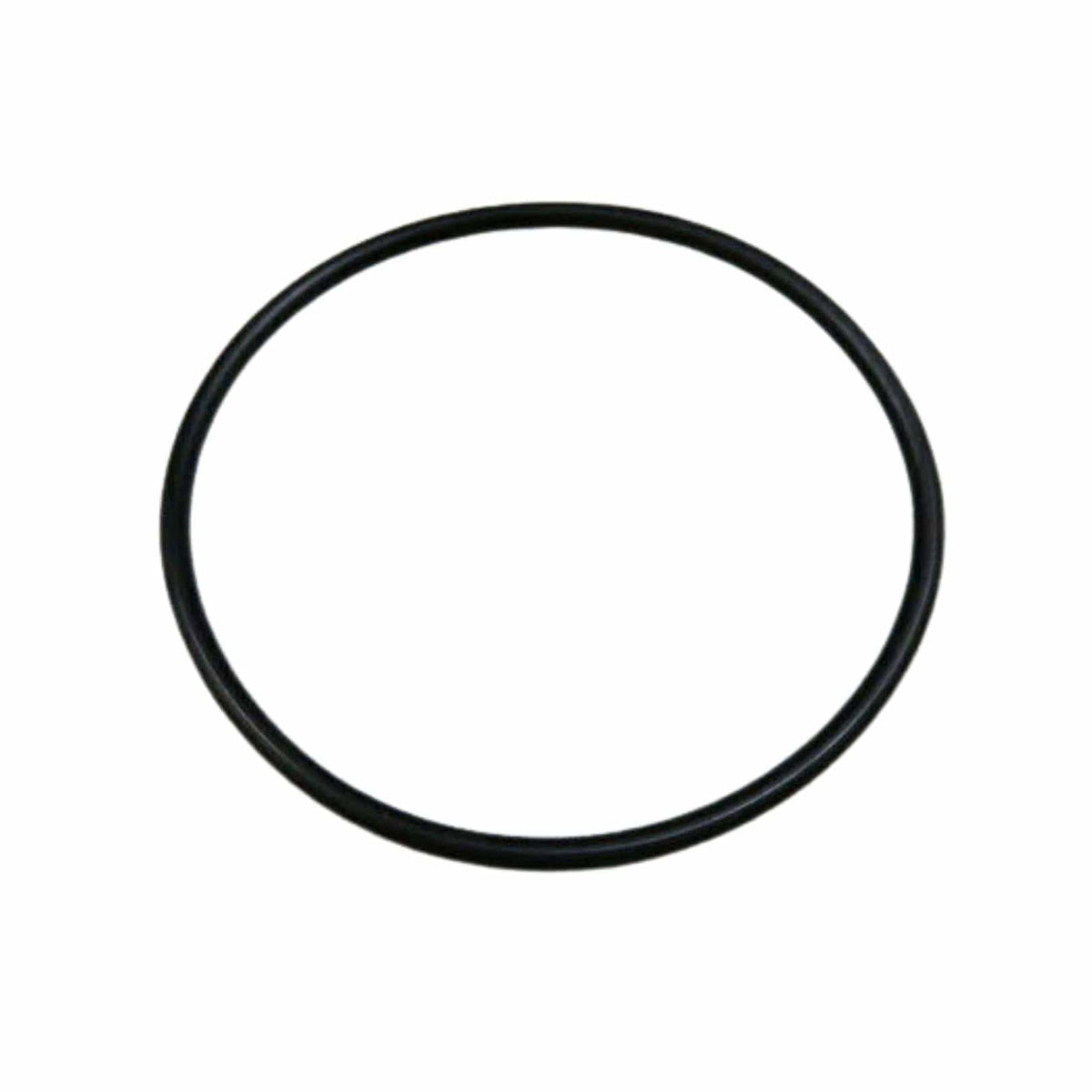 BRP Qualifies for Free Shipping BRP O-Ring #308876