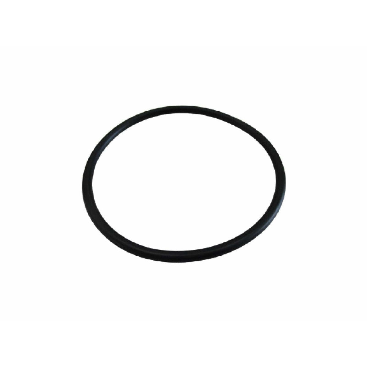 BRP Qualifies for Free Shipping BRP O-Ring #313754