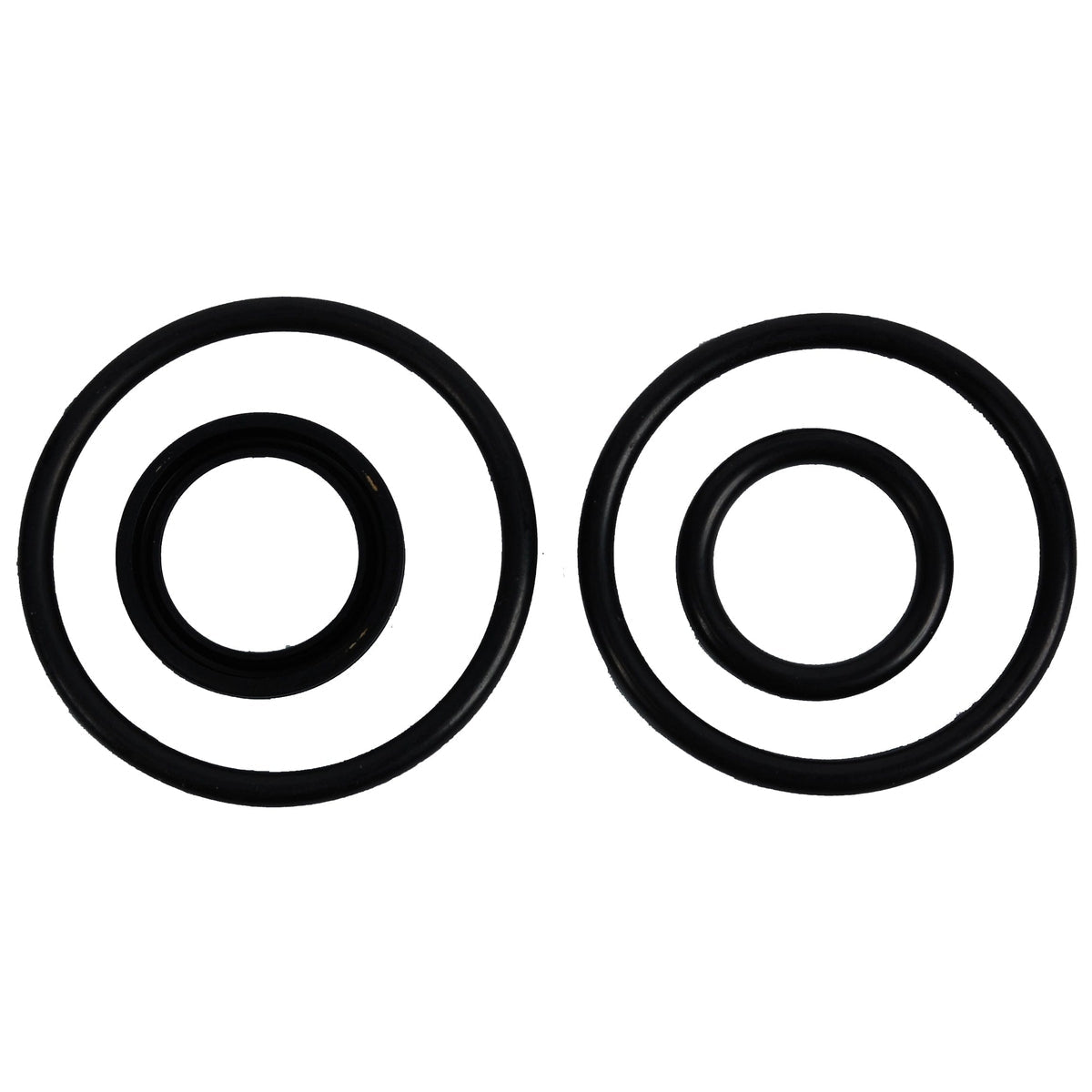 BRP Qualifies for Free Shipping BRP O-Ring & Seal Kit #433234