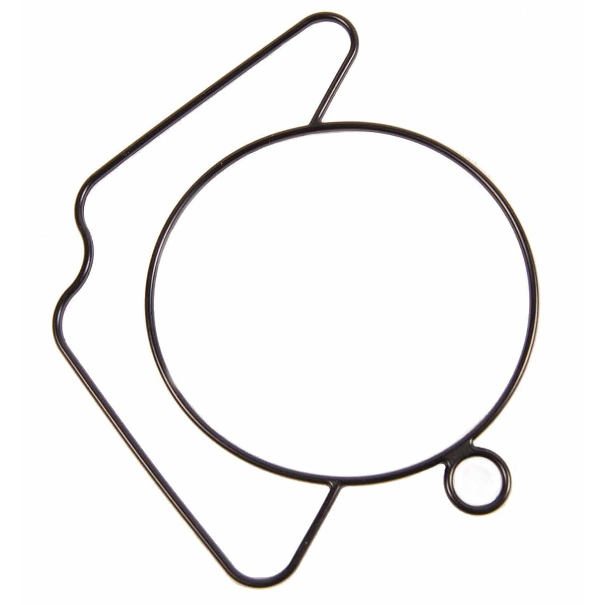 BRP Qualifies for Free Shipping BRP Seal #341258