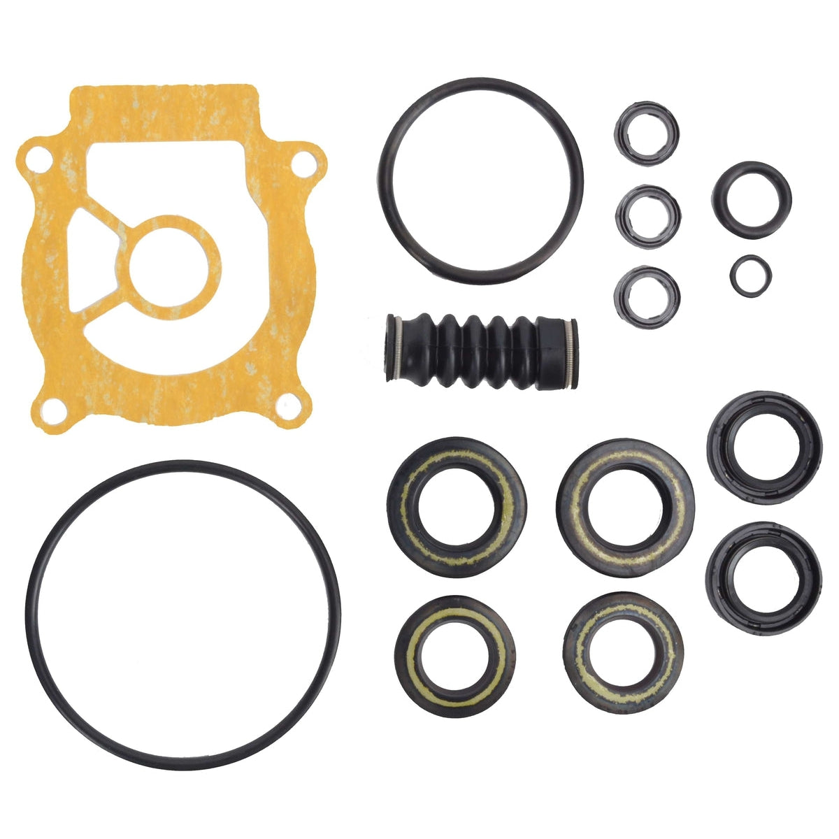 BRP Qualifies for Free Shipping BRP Seal Kit Gearcase #5032167
