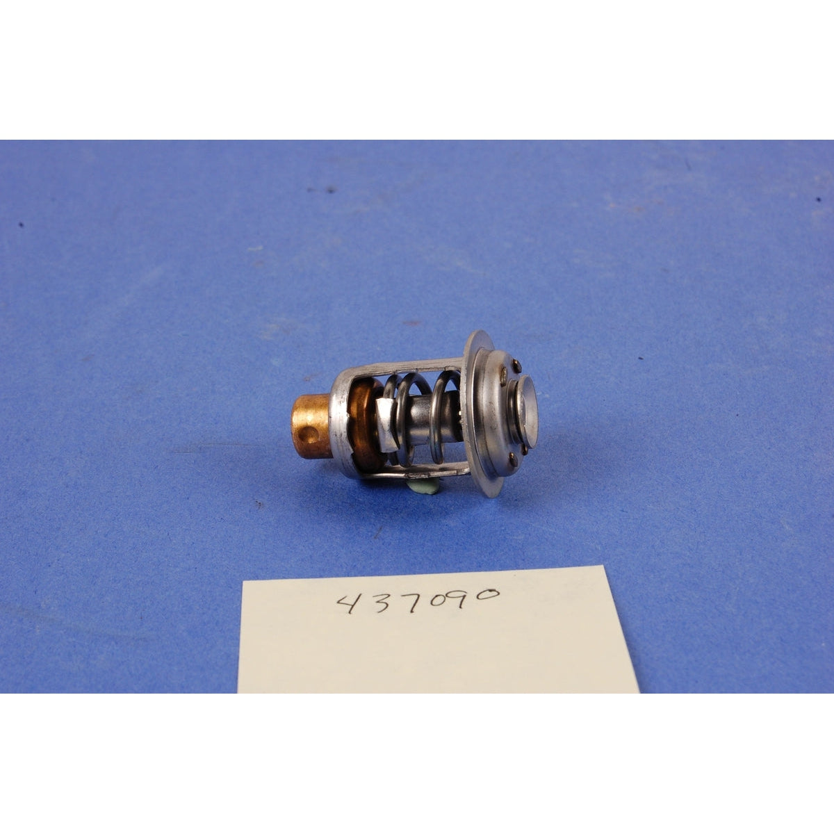 BRP Qualifies for Free Shipping BRP Thermostat #437090