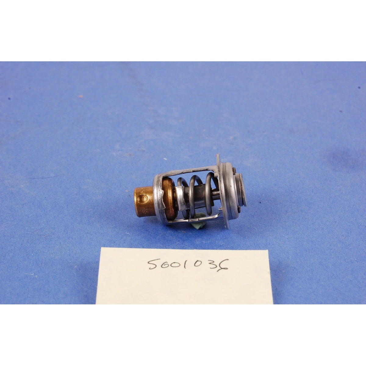 BRP Qualifies for Free Shipping BRP Thermostat Assembly #5001036
