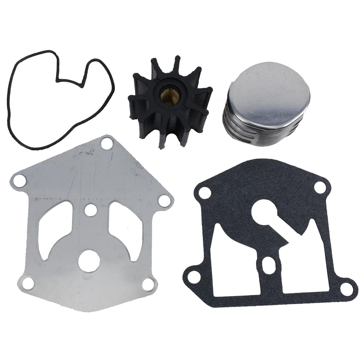 BRP Qualifies for Free Shipping BRP Water Pump Kit King Cobra #0987745
