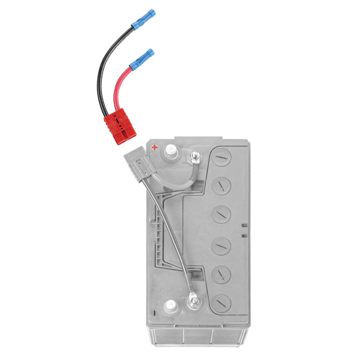 Connect-Ease Qualifies for Free Shipping Connect-Ease Single 6-Gauge Connector #RCE12VB6
