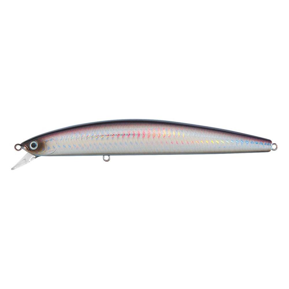 Daiwa Qualifies for Free Shipping Daiwa Salt Pro Minnow 5-1/8" Floating D18 Purple Back Silver #DSPM13F18