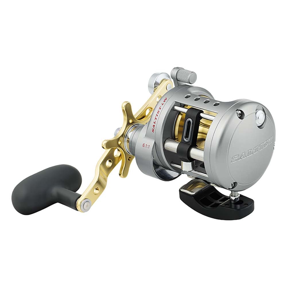 Daiwa Qualifies for Free Shipping Daiwa STTLW20HA Saltist Levelwind Reel #STTLW20HA