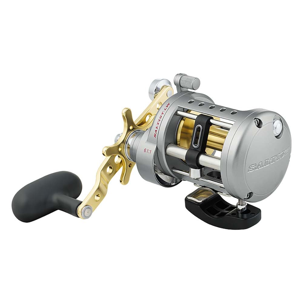 Daiwa Qualifies for Free Shipping Daiwa STTLW30HA Saltist Levelwind Reel #STTLW30HA