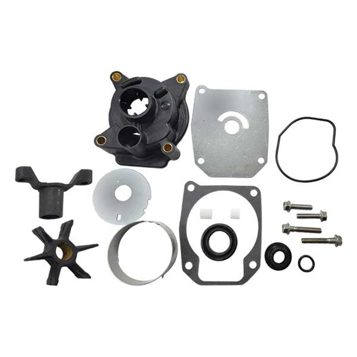 EMP Qualifies for Free Shipping EMP Complete Water Pump Kit #46-07000