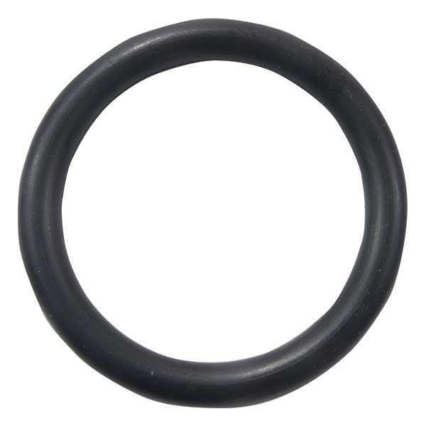 EMP Qualifies for Free Shipping EMP O-Ring #25-01959-1