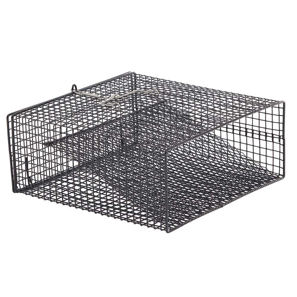 Frabill Qualifies for Free Shipping Frabill Crawfish Flat Bottom Square Trap 12" x 12" x 5" #1262