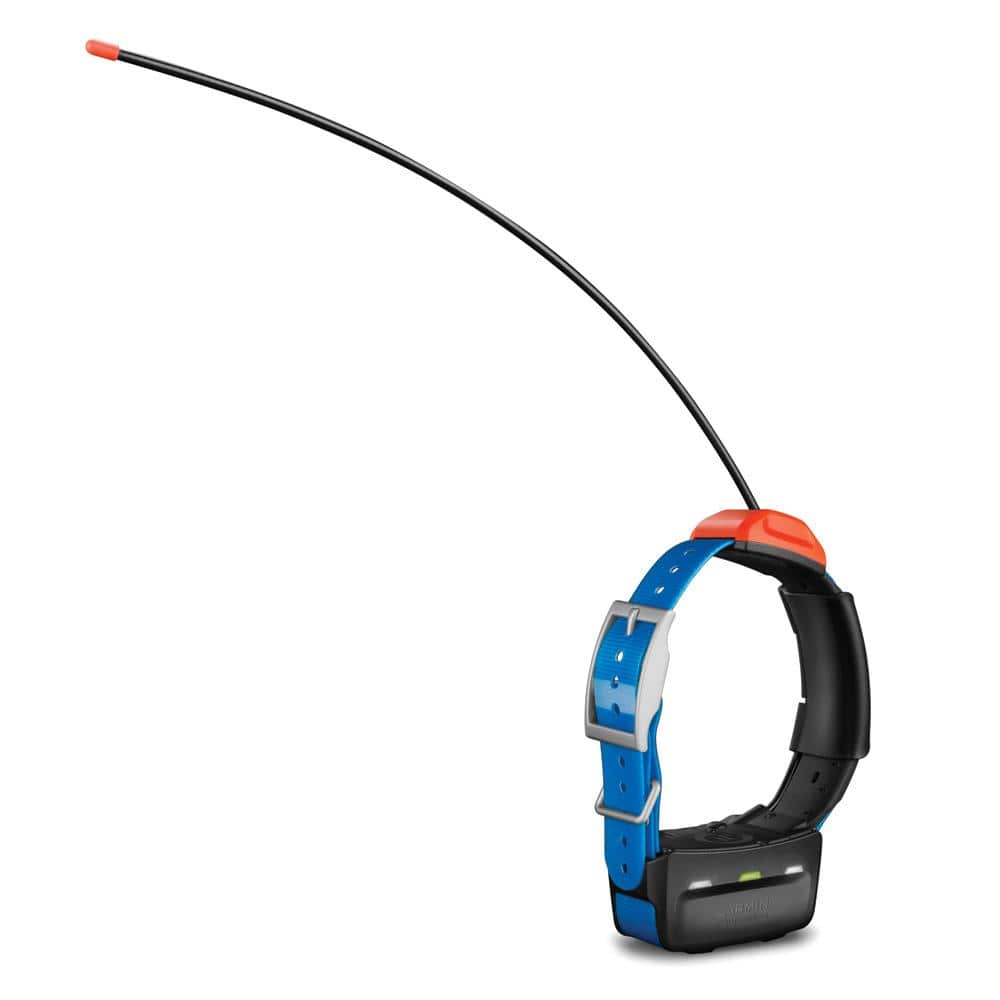 Garmin Qualifies for Free Shipping Garmin T 5 Dog Collar #010-01041-70
