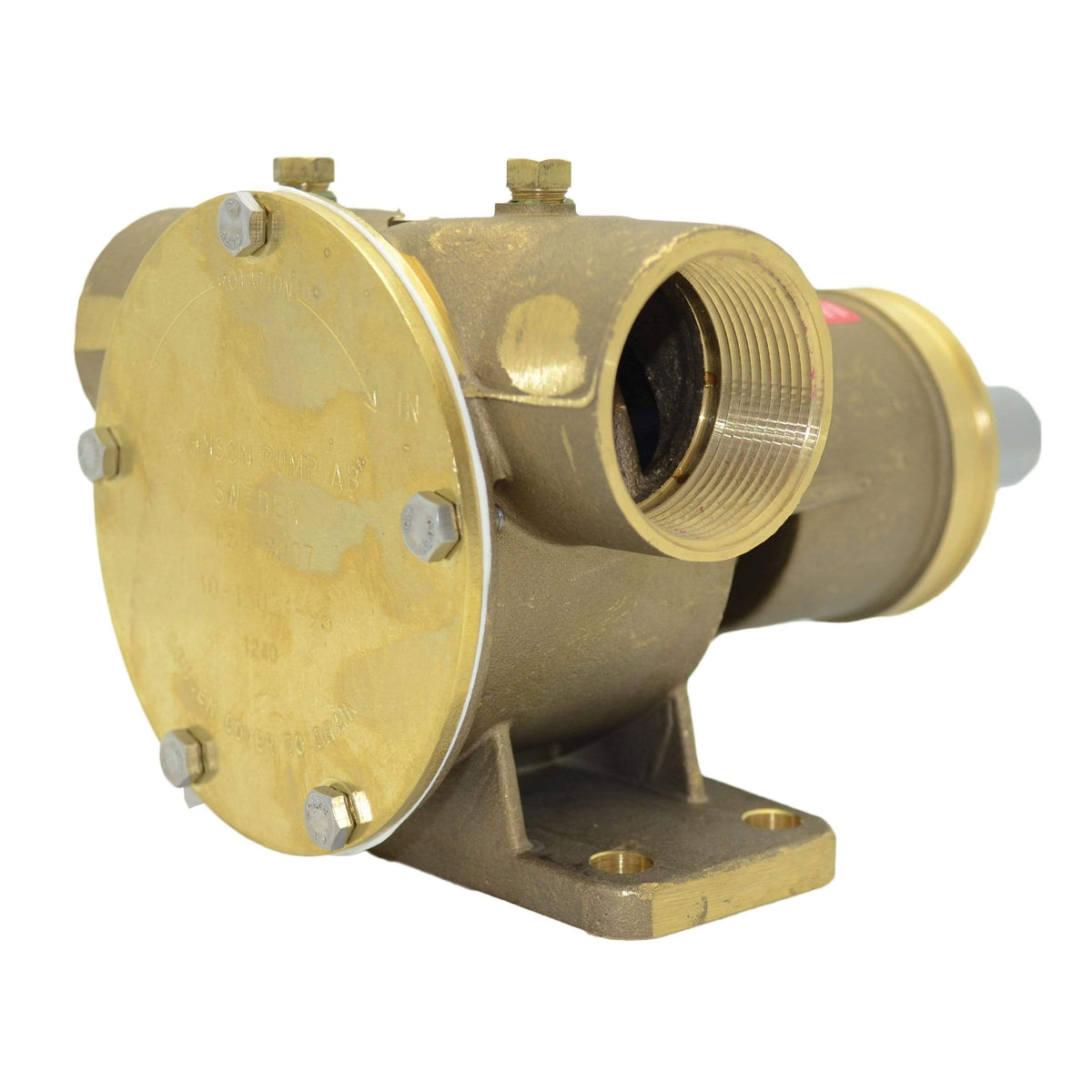 Johnson F8B-8 1-1/2" NPT Pedestal Mount Pump 1" S #10-13021-96