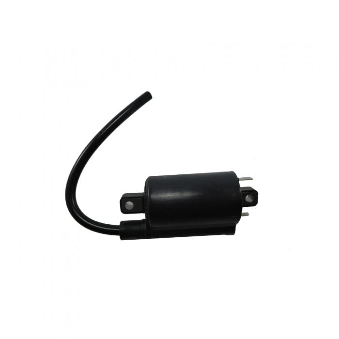 Kohler Qualifies for Free Shipping Kohler Ignition Coil #359784