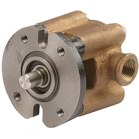 Kohler Qualifies for Free Shipping Kohler Pump Sea Water #GM28487
