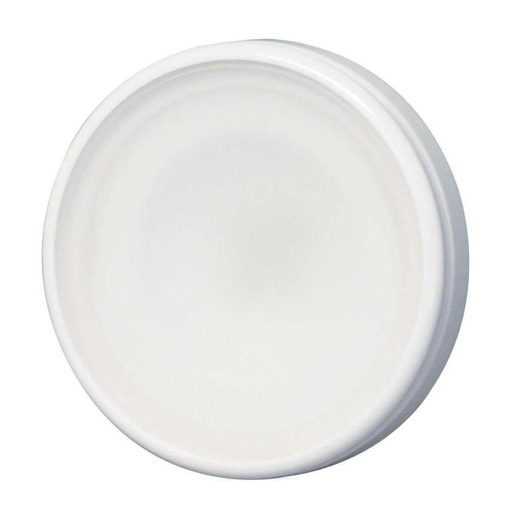 Lumitec Qualifies for Free Shipping Lumitec Halo Down Light Dimmable White #112829