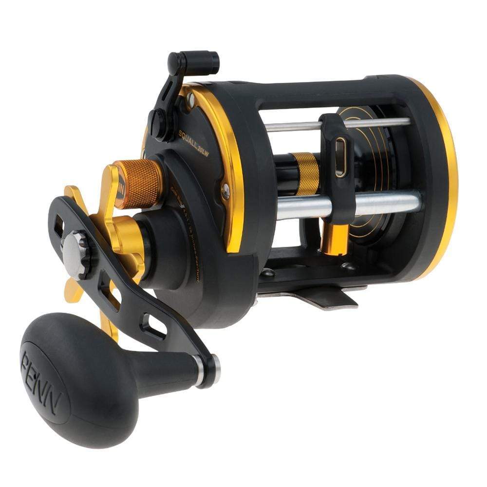 firstchoicemarine Qualifies for Free Shipping Penn SQL20LW Squall Levelwind Reel #1292940