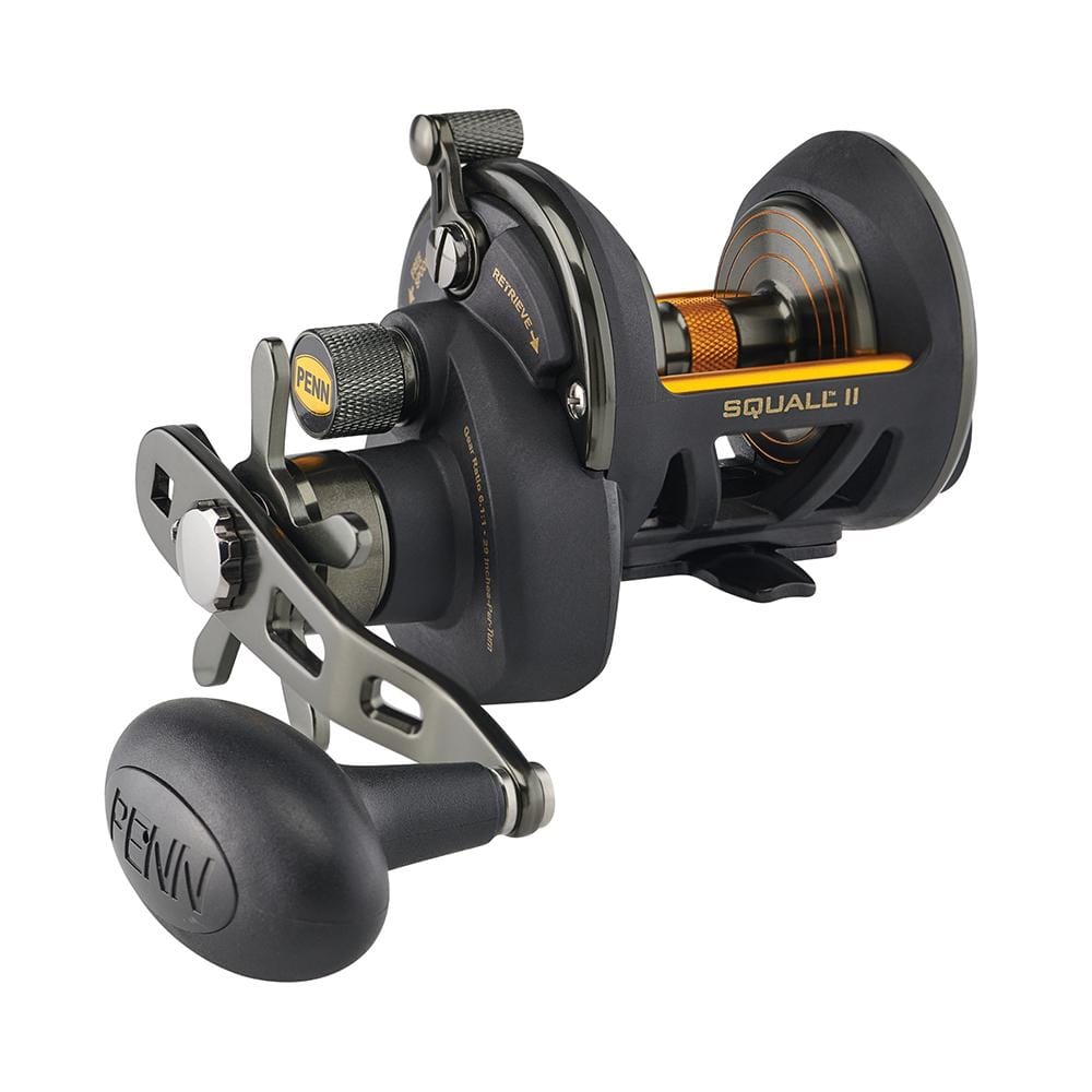 PENN Qualifies for Free Shipping Penn Squall II Star Drag SQLII12SD Conventional Reel #1522163
