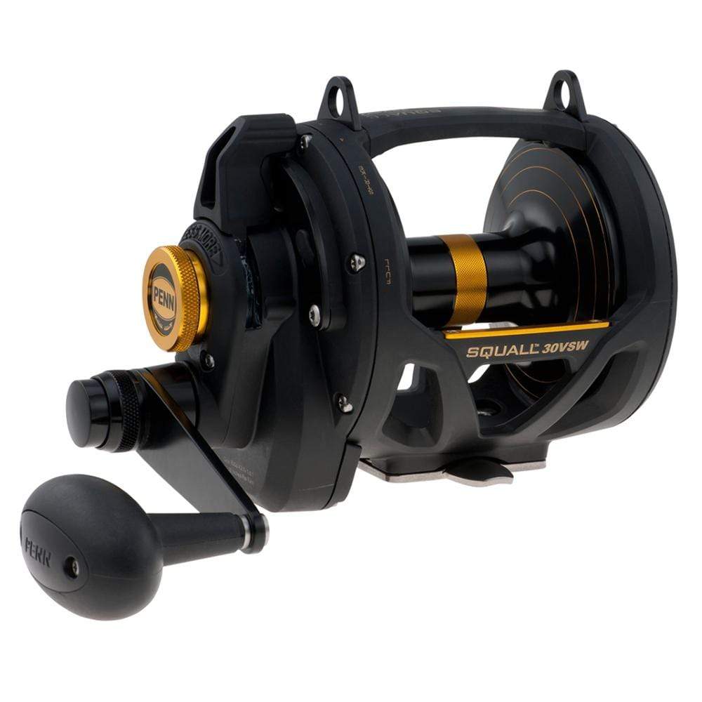 PENN Qualifies for Free Shipping PENN Squall Lever Drag 2 Speed SQL30VSW Conventional Reel #1292937