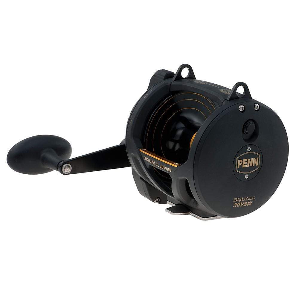 PENN Qualifies for Free Shipping PENN Squall Lever Drag 2 Speed SQL30VSW Conventional Reel #1292937