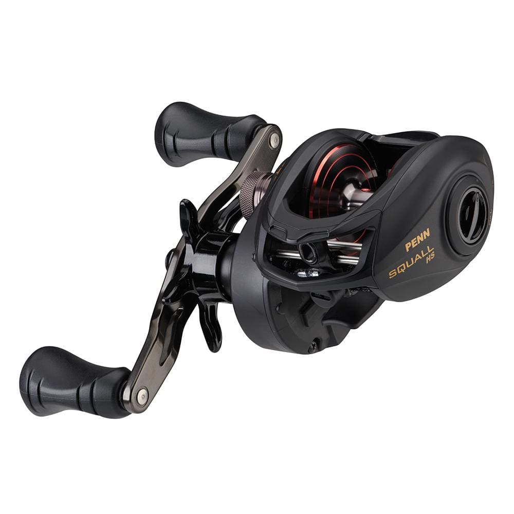 PENN Qualifies for Free Shipping PENN Squall Low Profile High Speed Reel SQL300LPHS #1525505