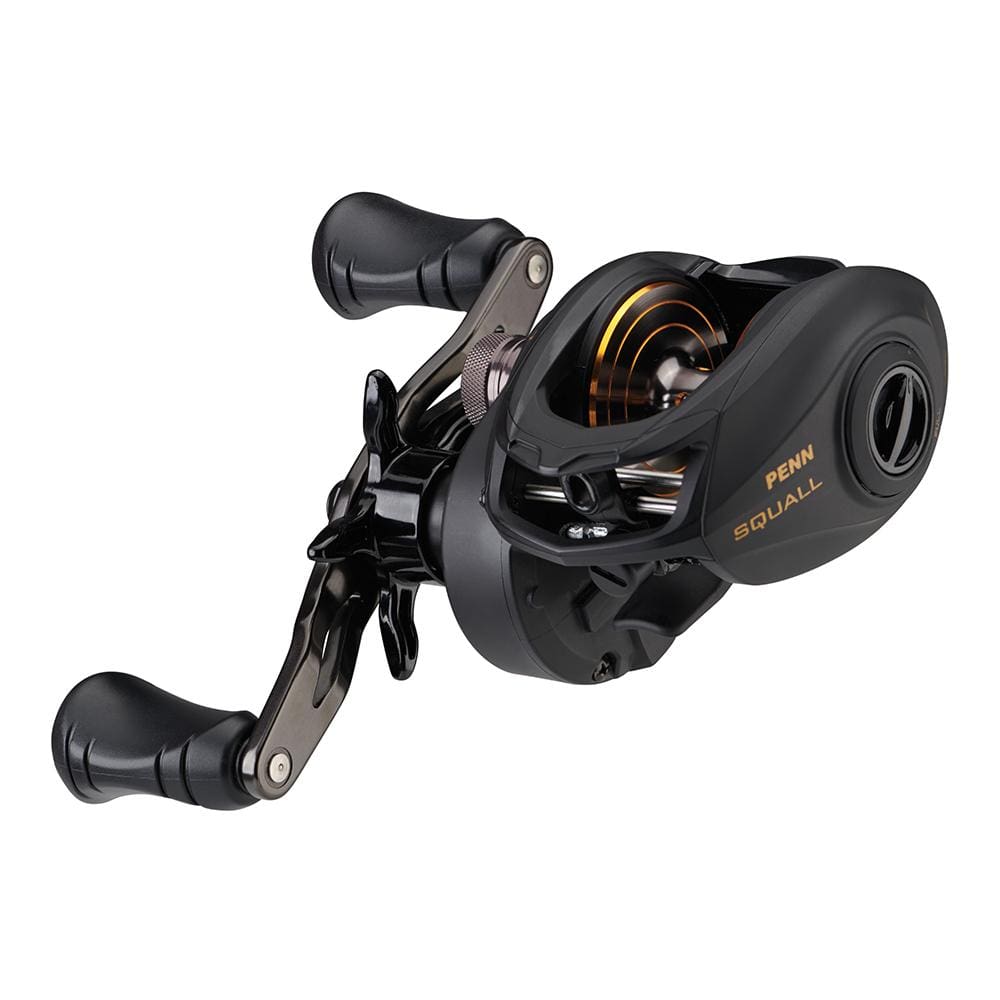 PENN Qualifies for Free Shipping Penn Squall Low Profile Reel SQL300LP #1525504