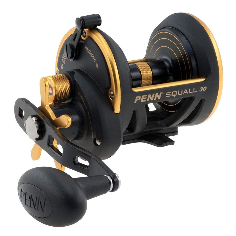 PENN Qualifies for Free Shipping PENN Squall Star Drag SQL30 Conventional Reel #1238644