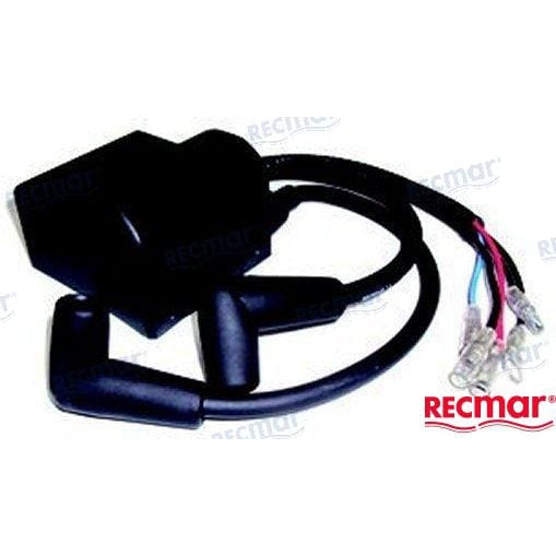 Recmar Qualifies for Free Shipping Recmar CDI 25-30 HP #REC32900-96340