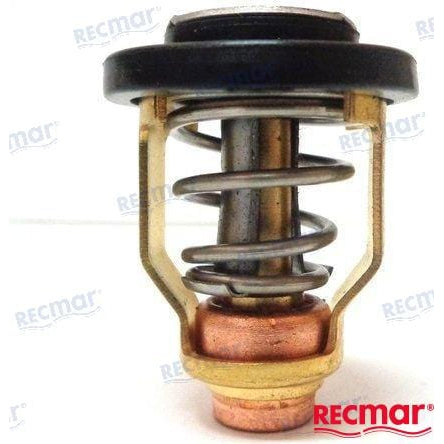 Recmar Qualifies for Free Shipping Recmar Thermostat #REC6E5-12411-30