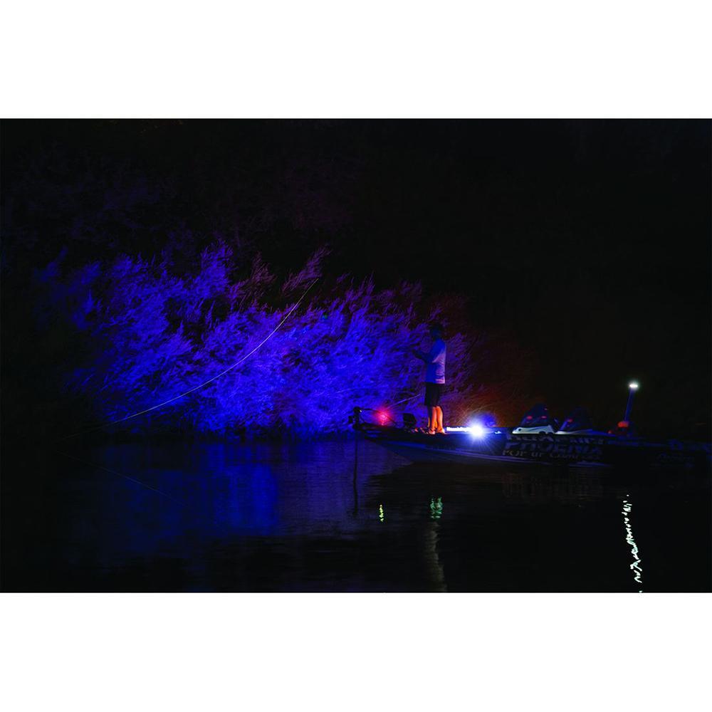 RIGID UV Light Kit Single Light Black #401083