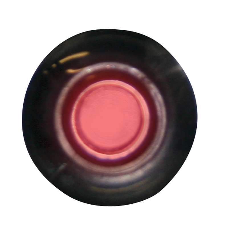 Seasense Red LED Livewell Light #50030002