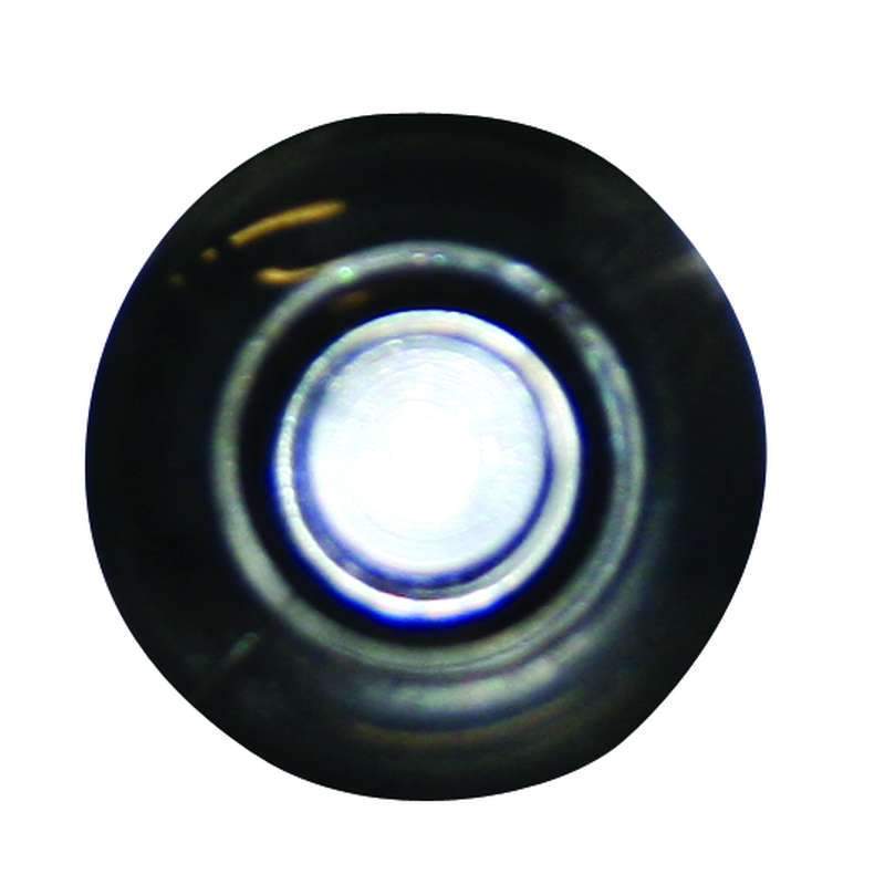 Seasense White LED Livewell Light #50030003