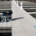 Dock Decking