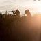 Hunting