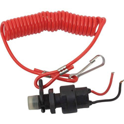 Ignition Kill Switches