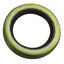 Oil Seals
