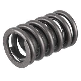 Valve Springs
