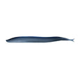 Berkley Qualifies for Free Shipping Berkley Gulp 5" Salwater Sand Eel Silver Mud #1121693